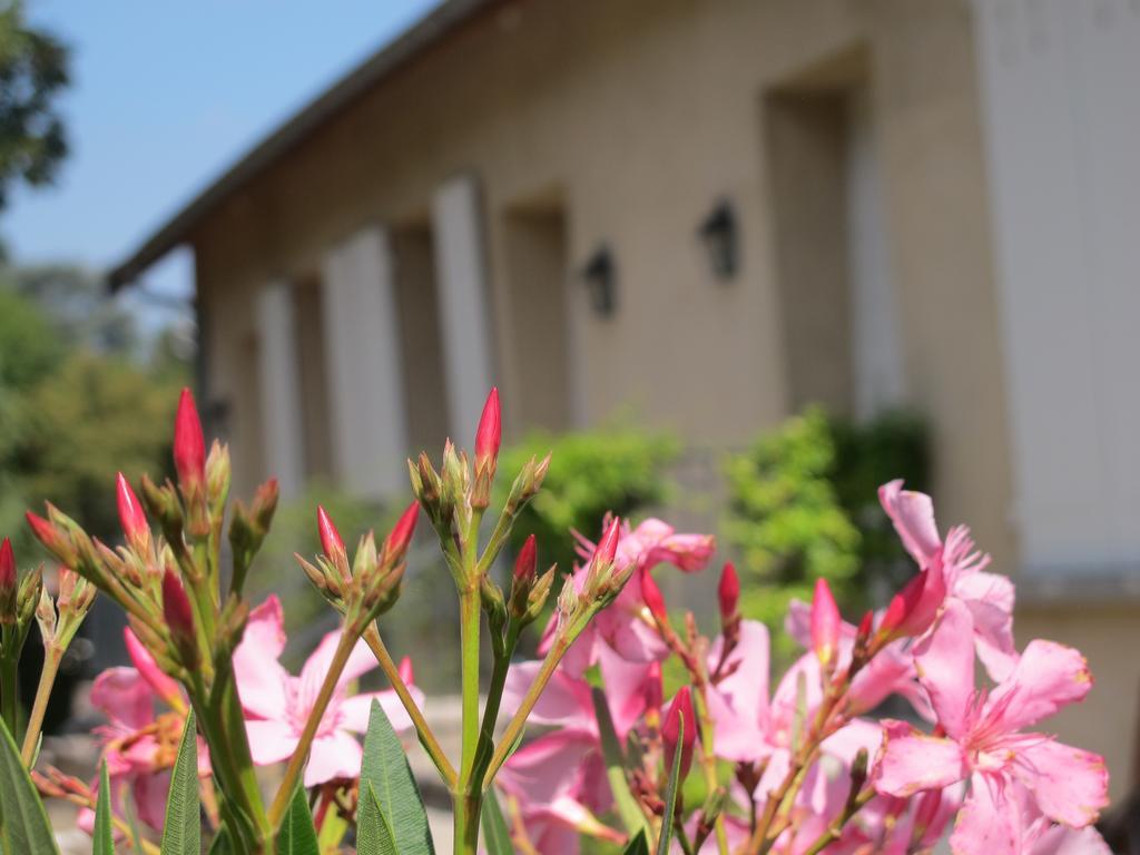 Appartamento Les Communs Du Manoir Écully Camera foto