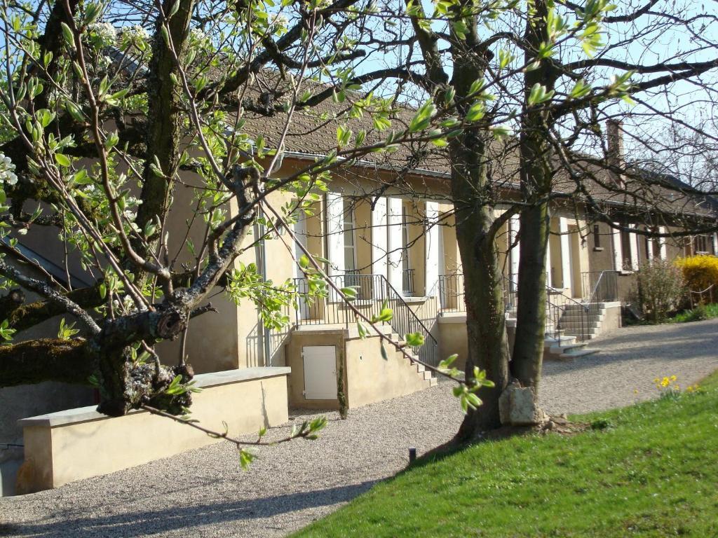 Appartamento Les Communs Du Manoir Écully Esterno foto