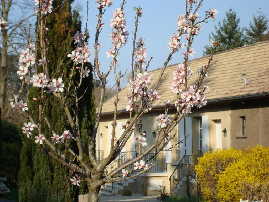 Appartamento Les Communs Du Manoir Écully Esterno foto