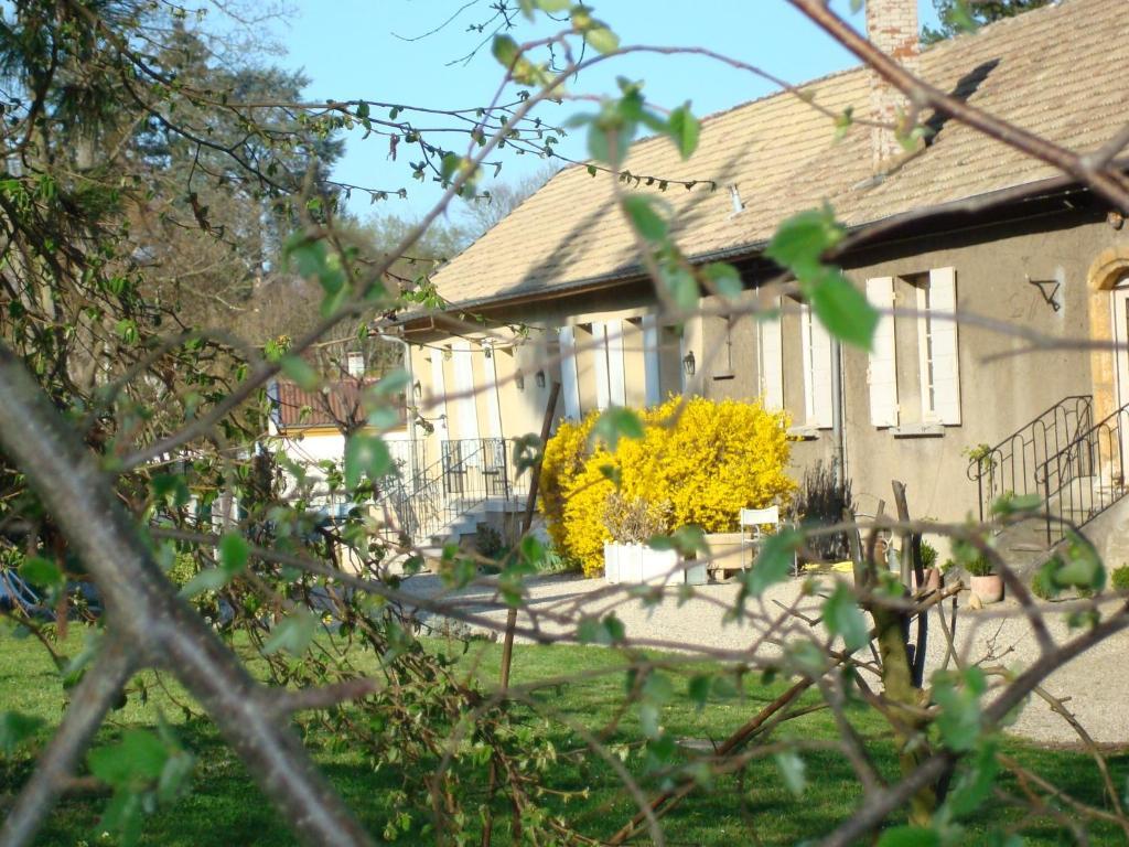 Appartamento Les Communs Du Manoir Écully Esterno foto