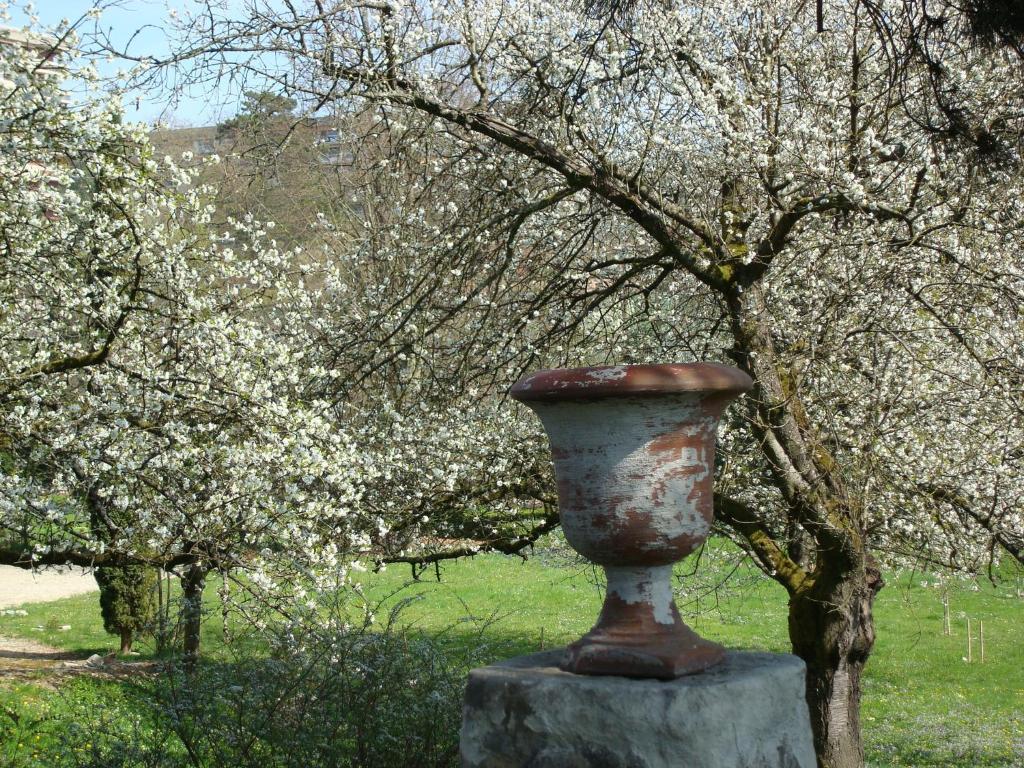 Appartamento Les Communs Du Manoir Écully Esterno foto