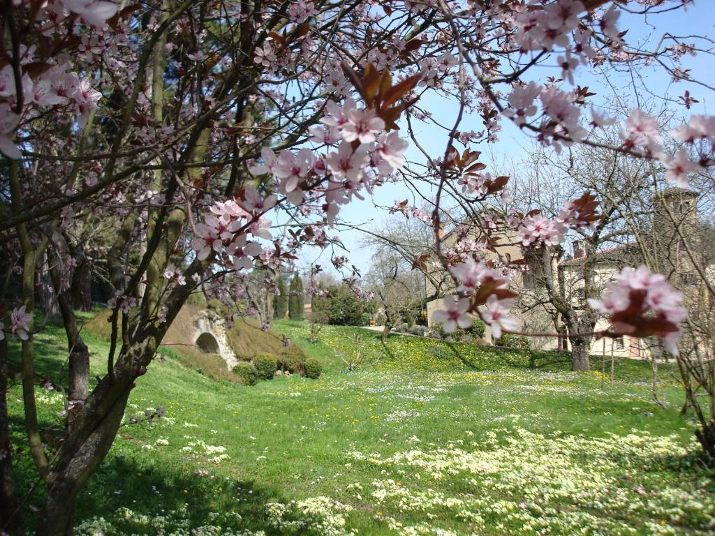 Appartamento Les Communs Du Manoir Écully Esterno foto