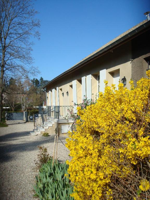 Appartamento Les Communs Du Manoir Écully Esterno foto